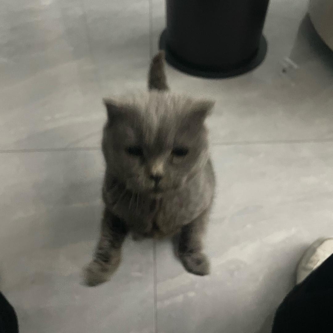 周睡觉