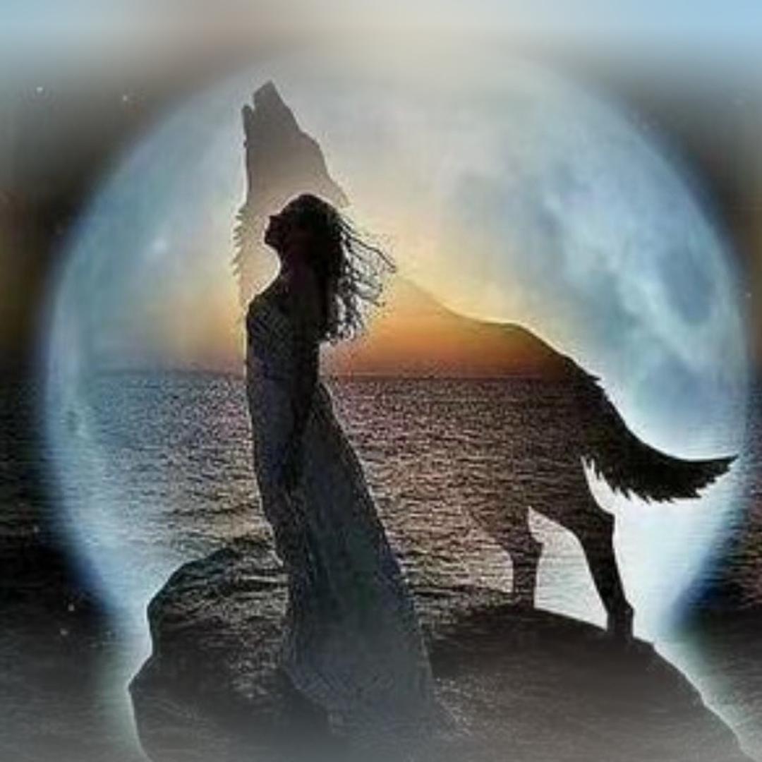 葫芦岛五八朦纯粮酒