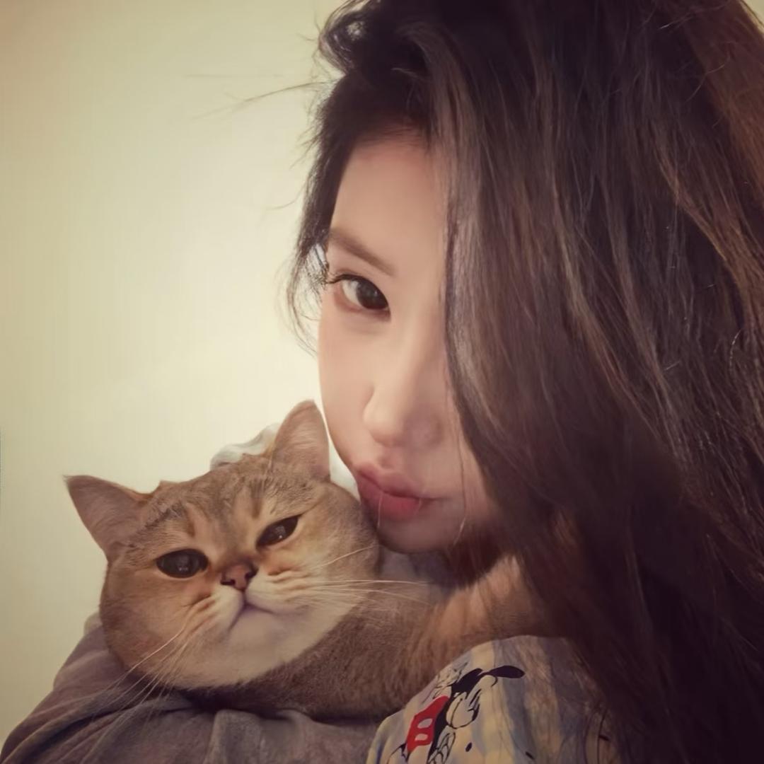 小鱼不吃鱼🐟