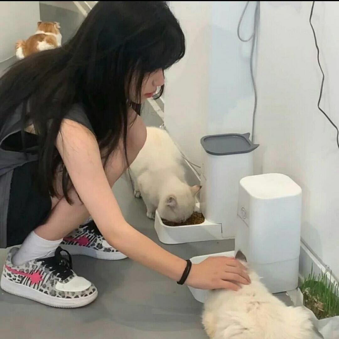来信子