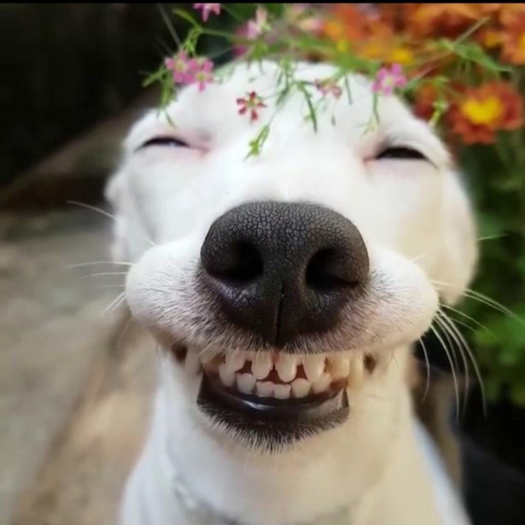今天很美好