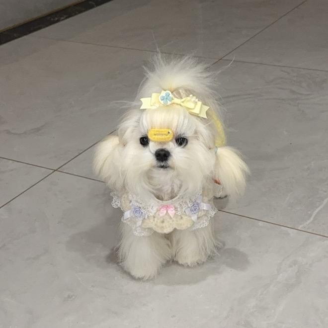 胡潆溪