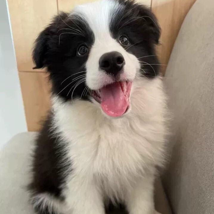 abcdefghijklmnopqrst