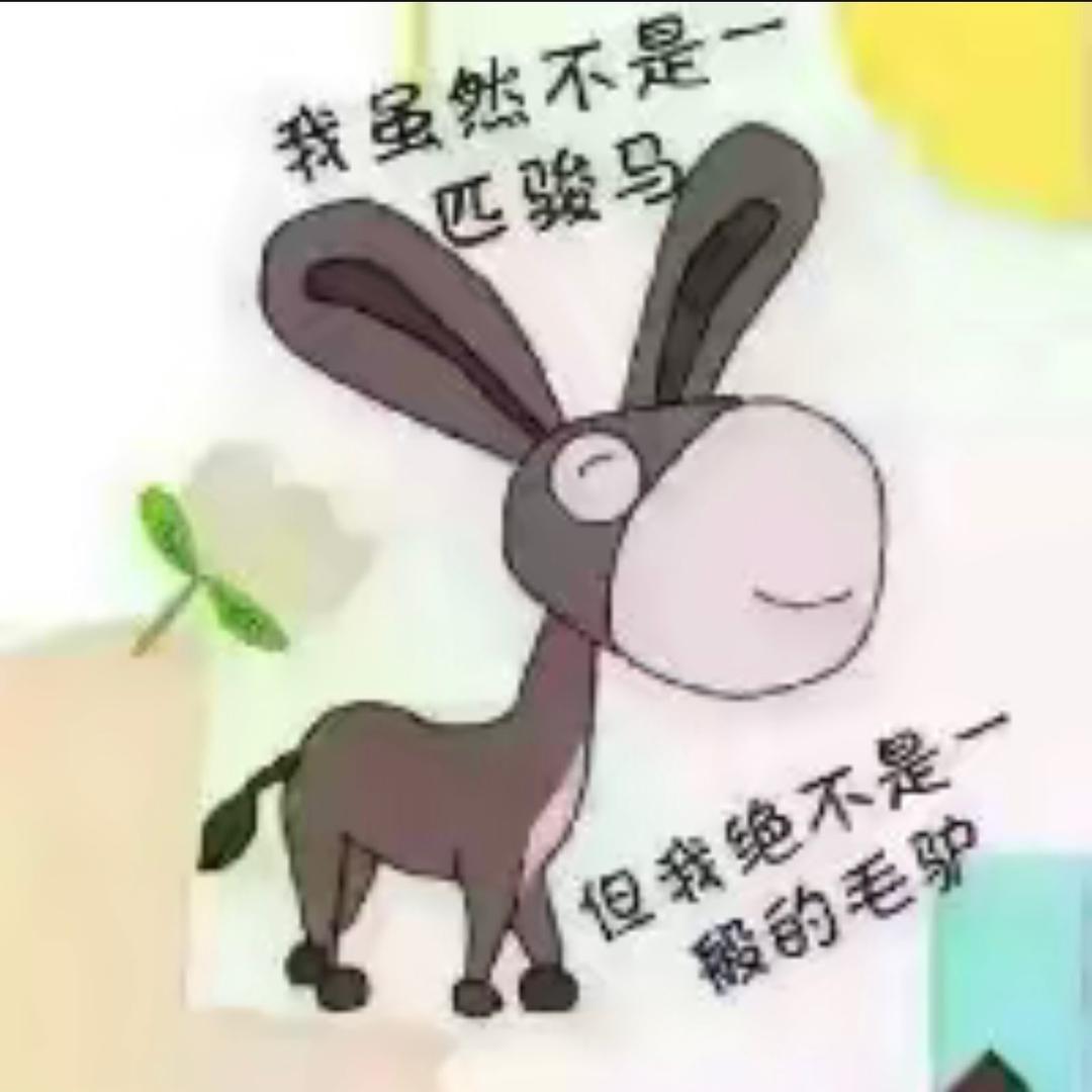 缘LVe相知