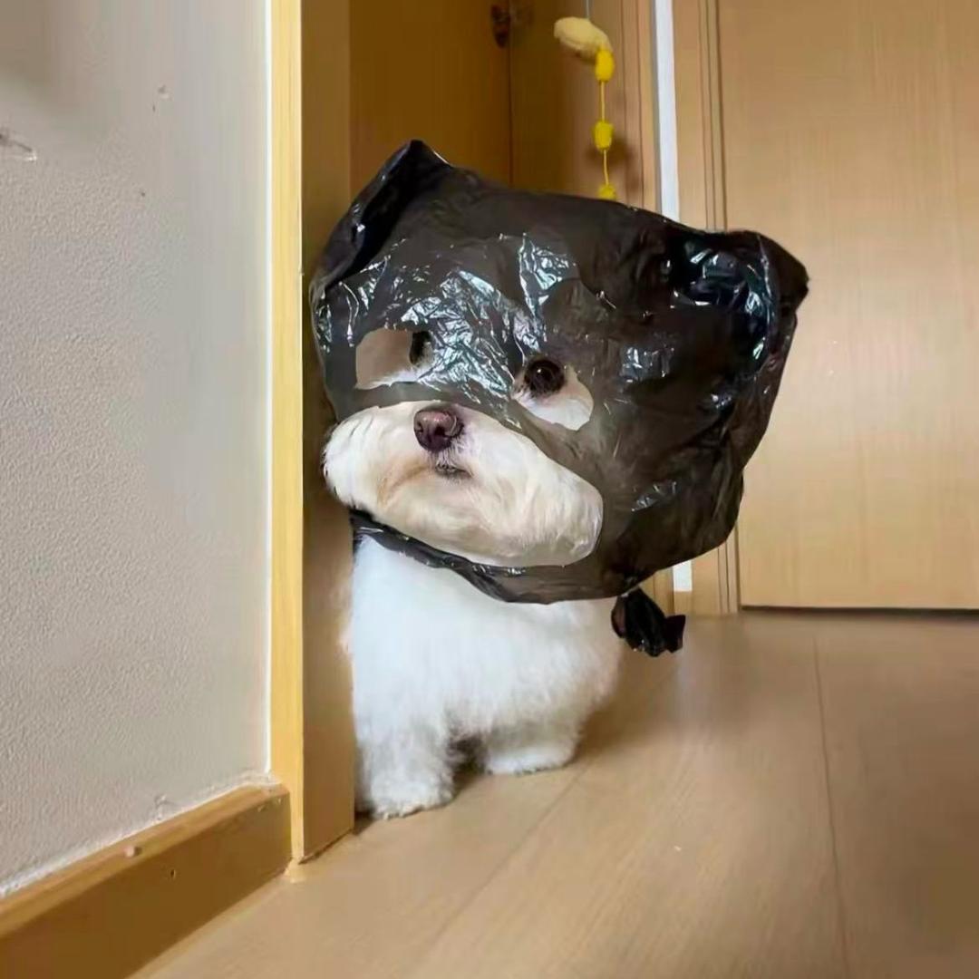 简、过一生