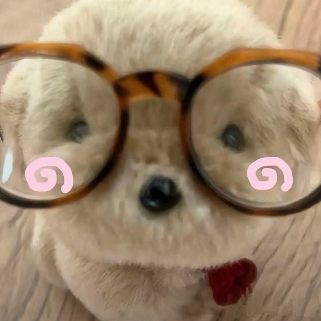 枫-