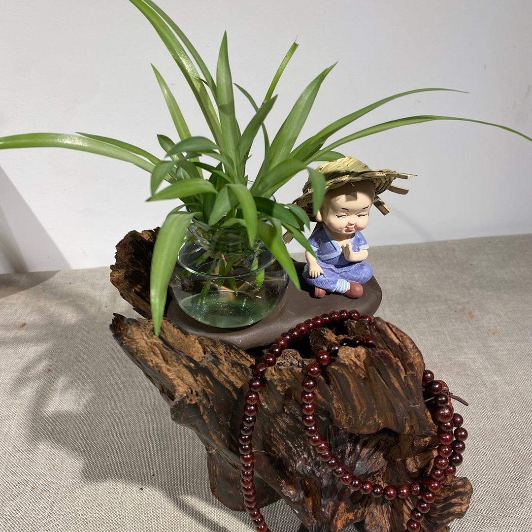 雷击臻品枣木（珍藏品）