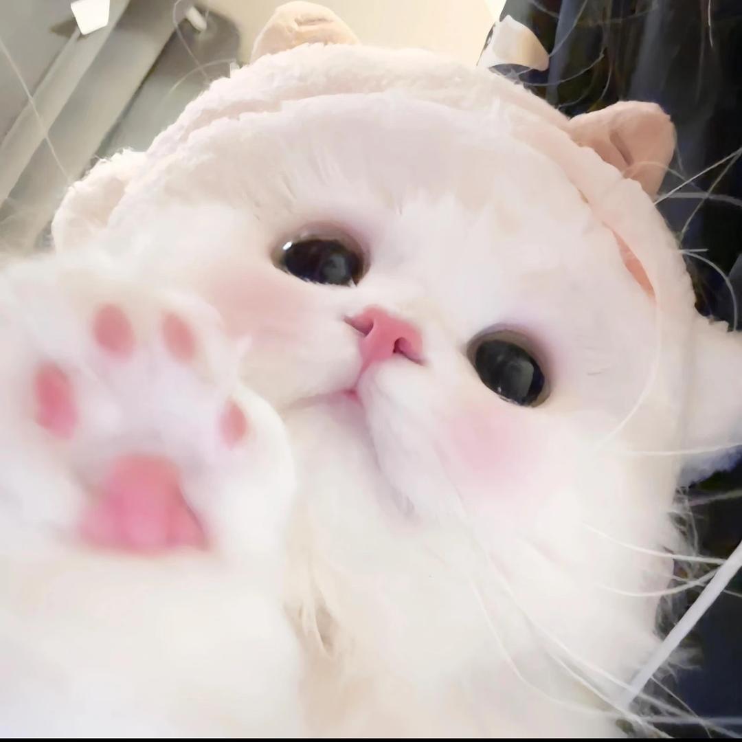 麻辣兔头