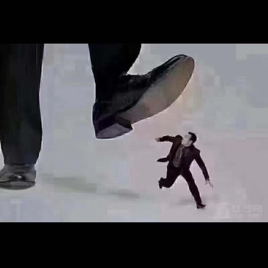 泽泽泽