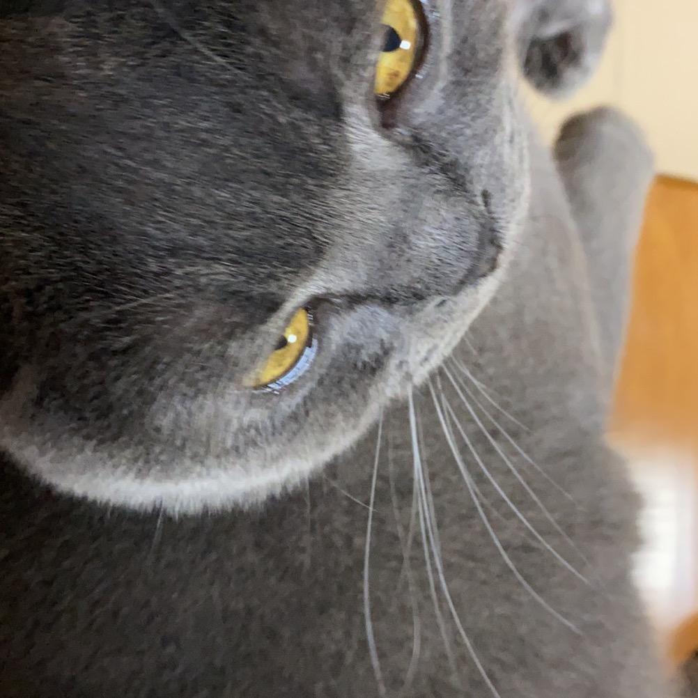 💞别ღ᭄ꦿ࿐: ღ᭄💞惹ོএ我ღ᭄