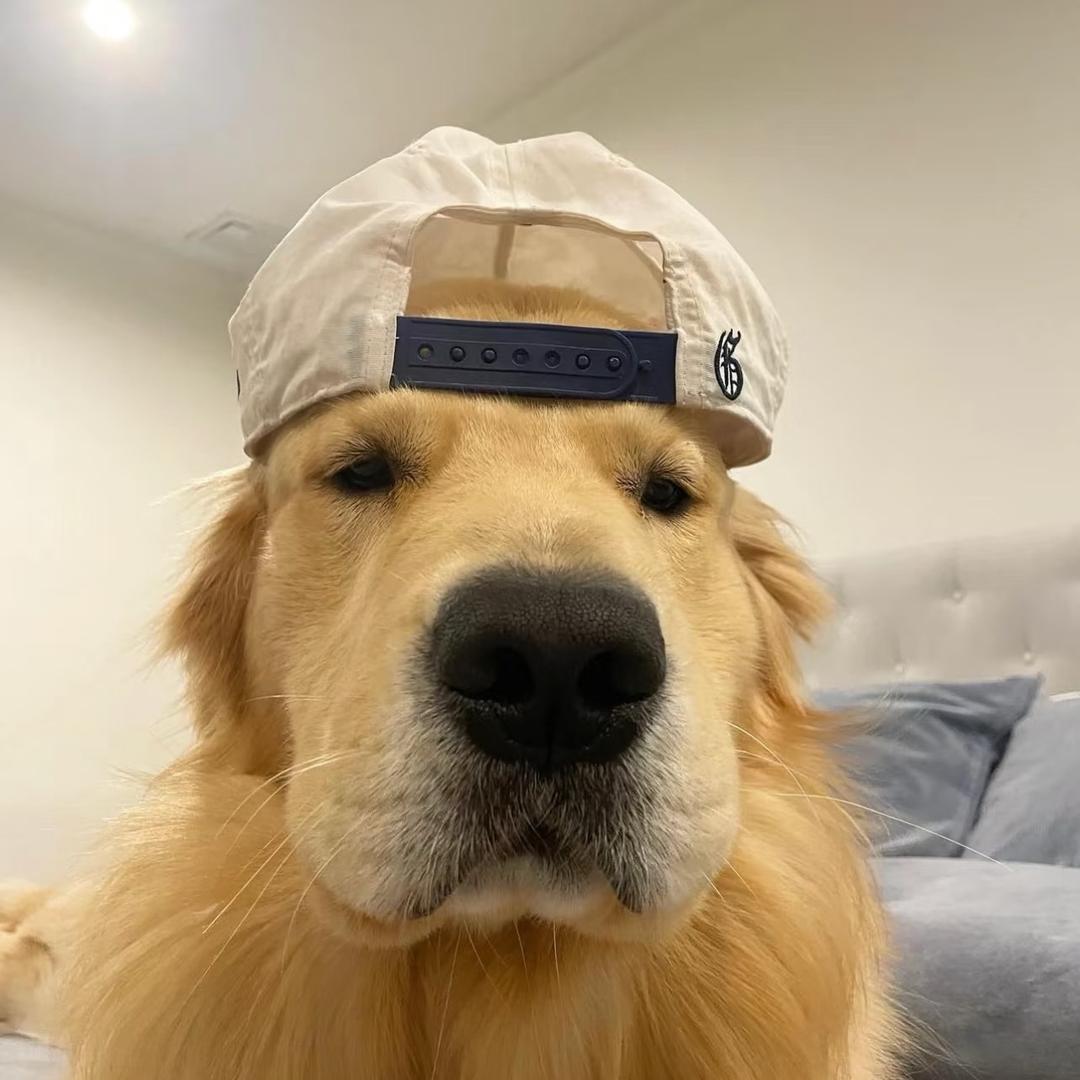 向前看
