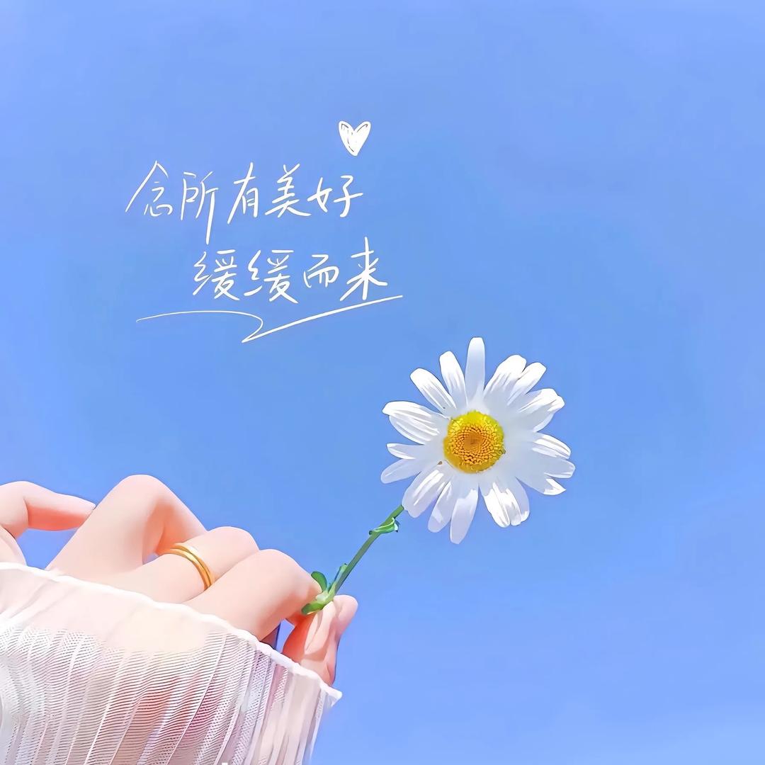 🍋…..謝℅`