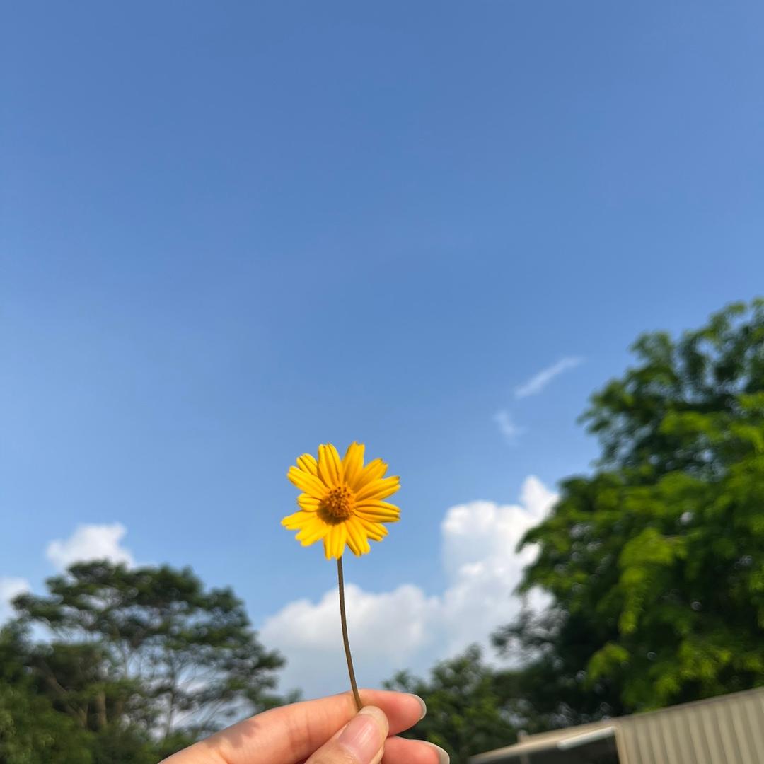 郝郝郝🌻