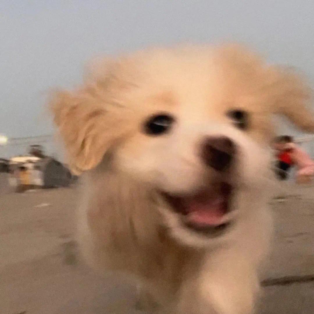 小V