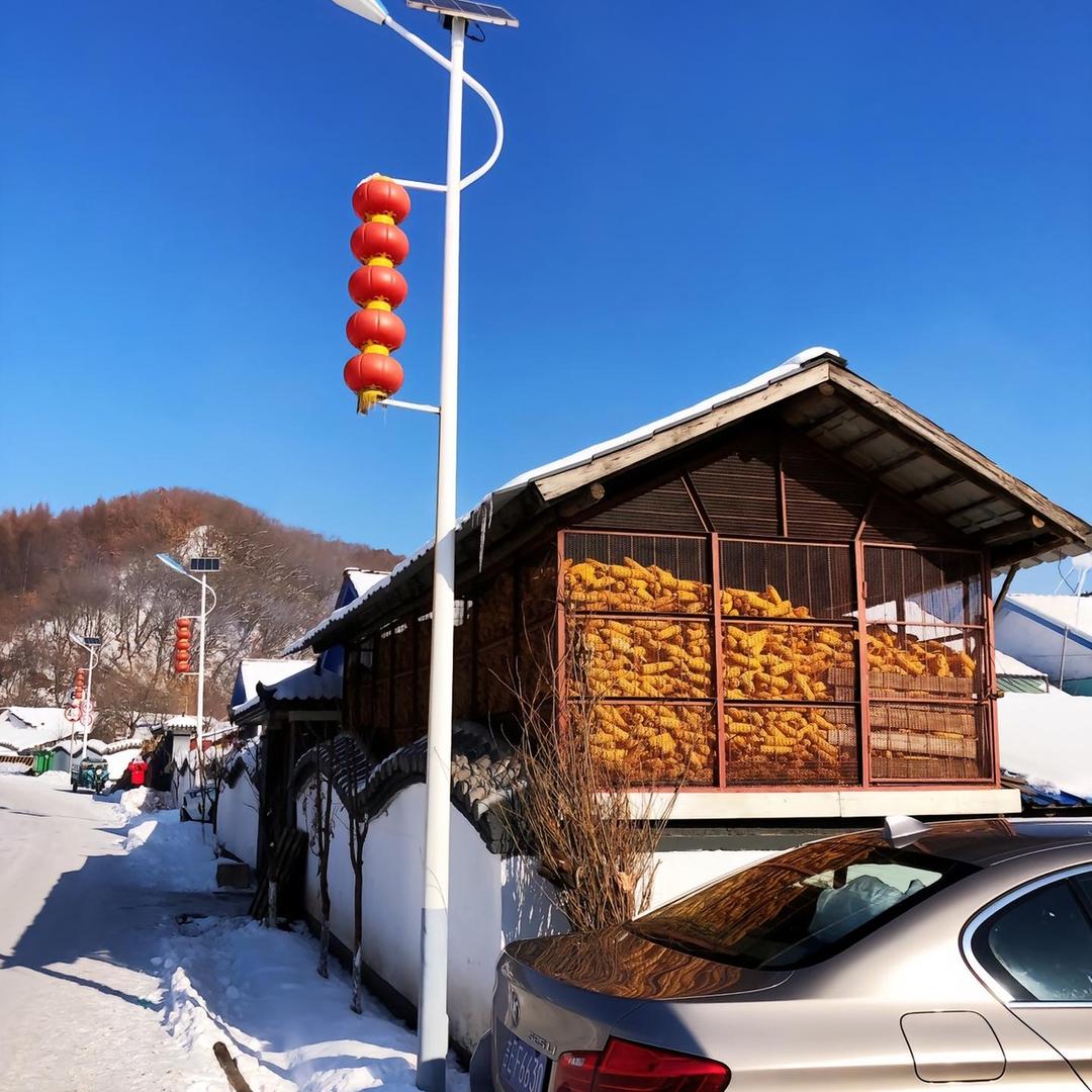 乡村爱情谢小胖