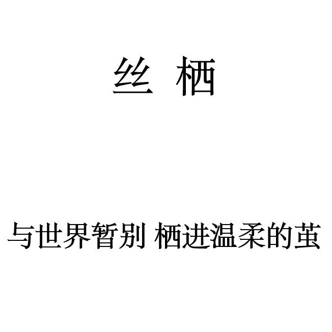 丝栖真丝