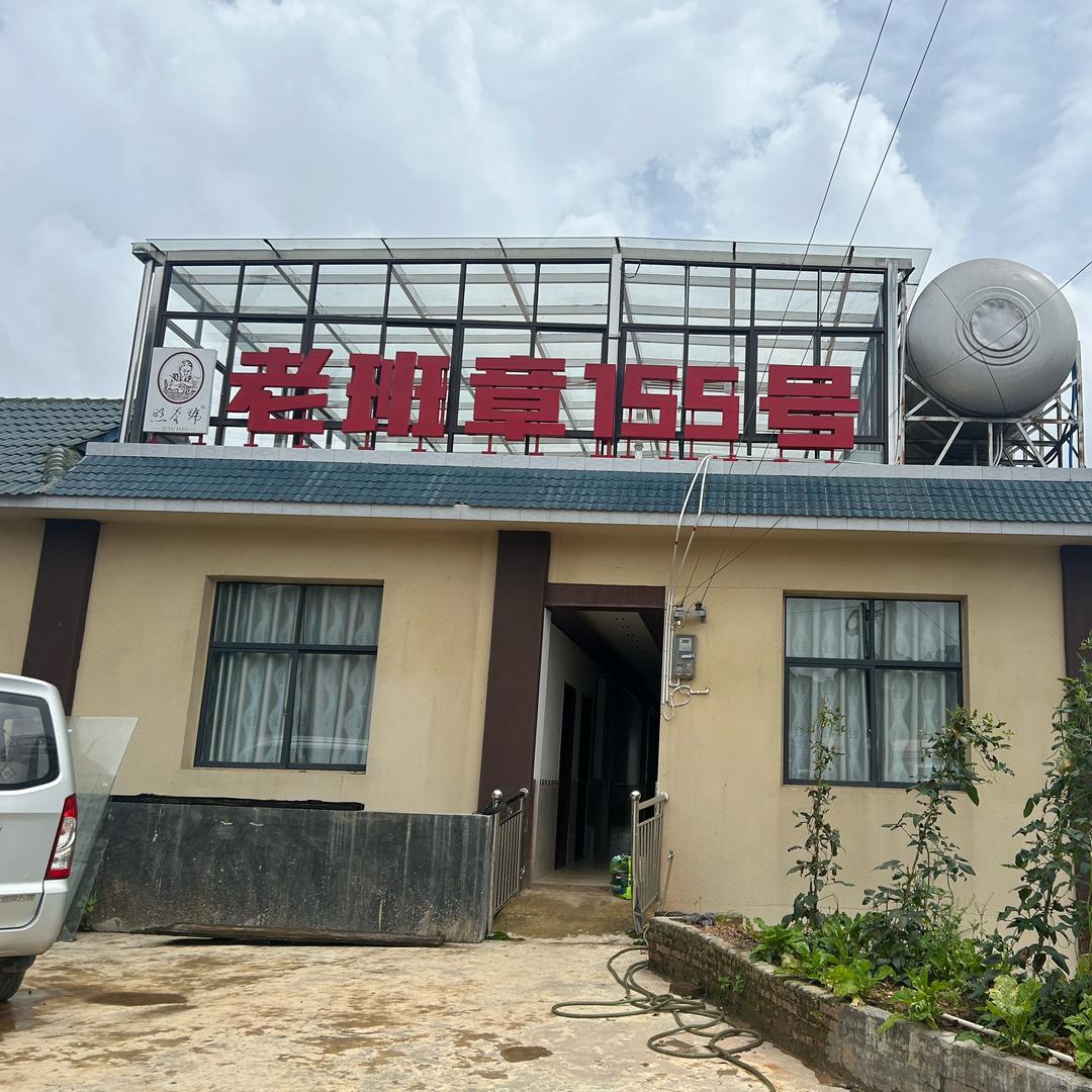 老班章155号