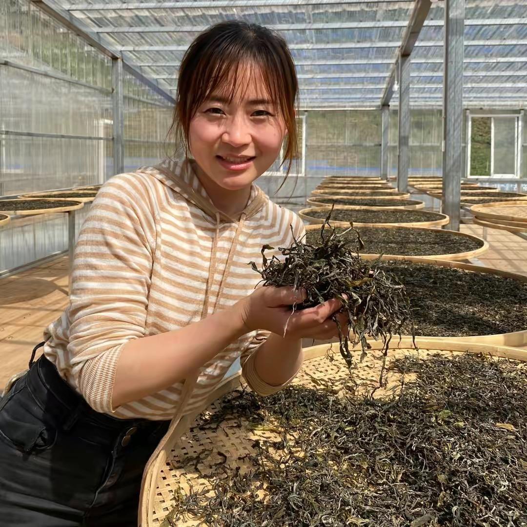 钟荟老茶厂