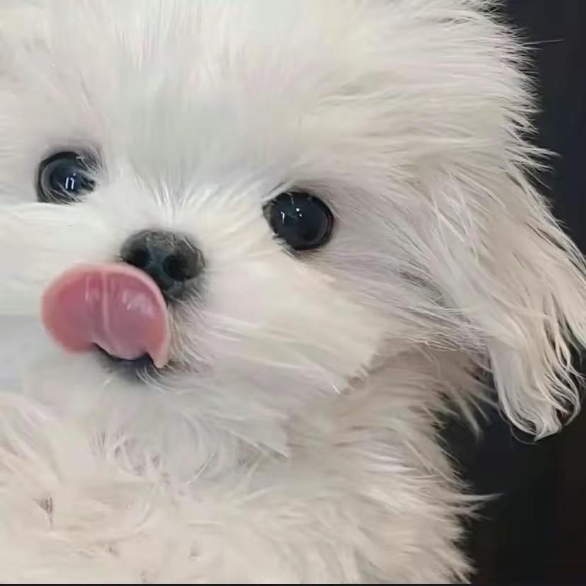 丢丢