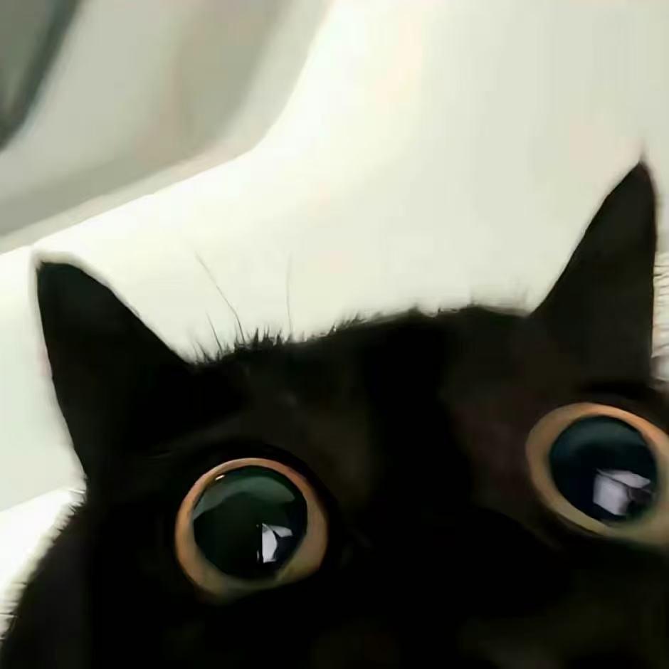 雨晨（国服诸葛亮）