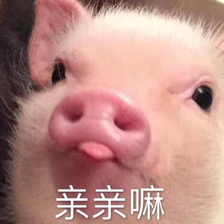 伏特加子