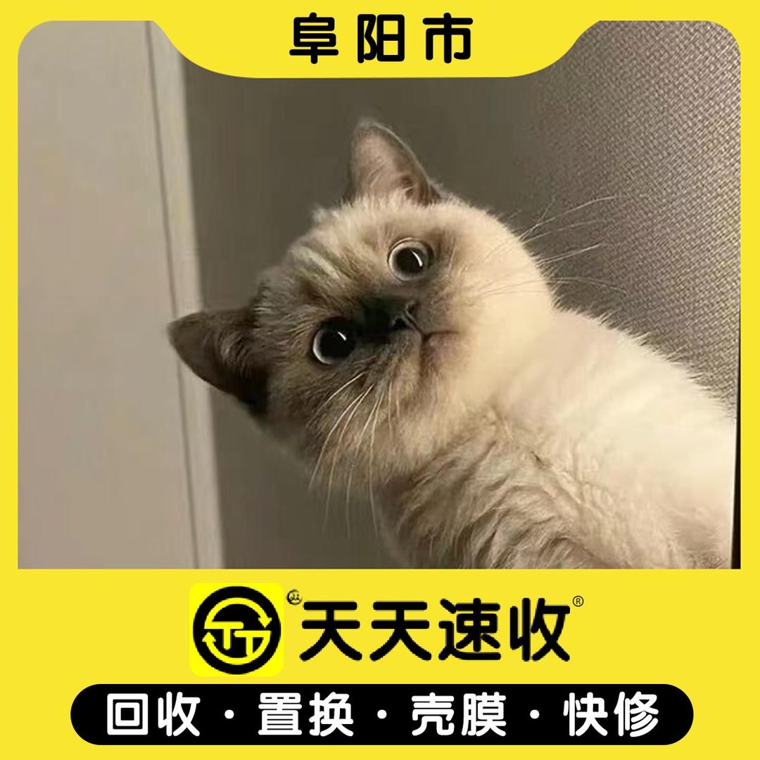 数码小张—泉优数码（天天速收）