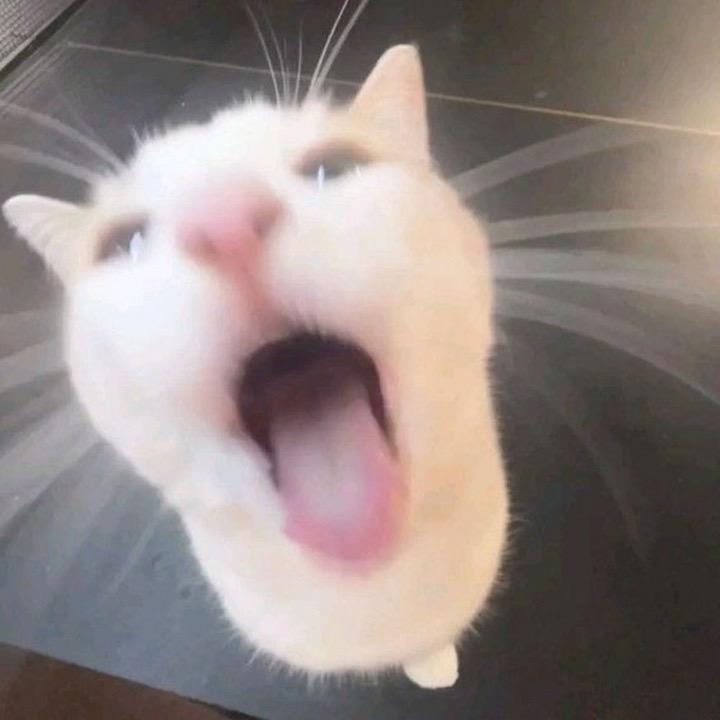 熬夜掉头发