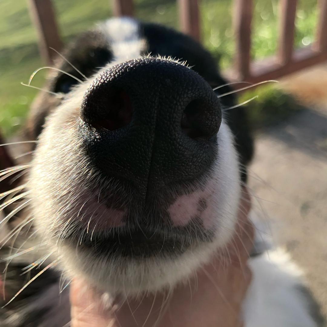 成都人体美学工程师