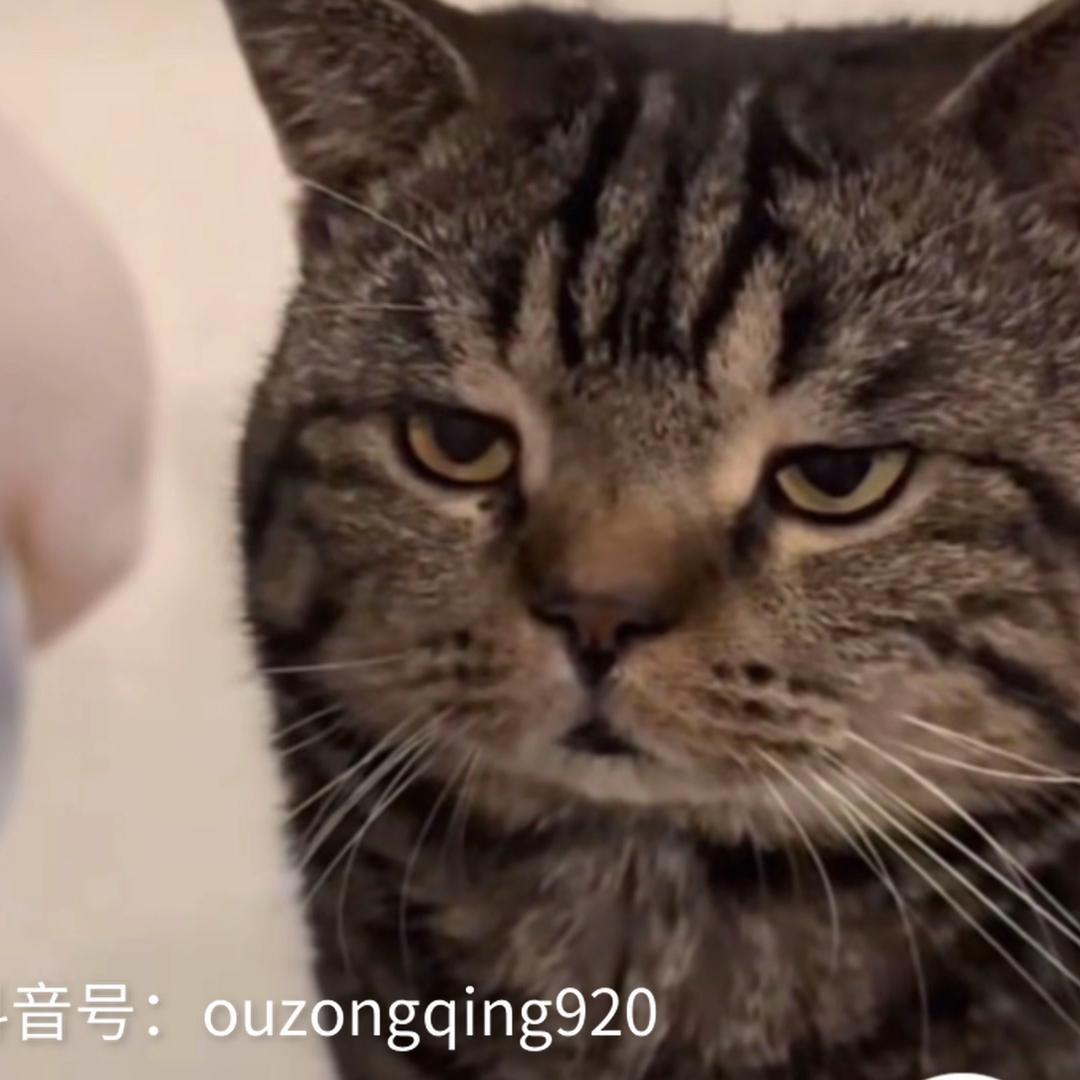 ᅟᅠ        ‍
