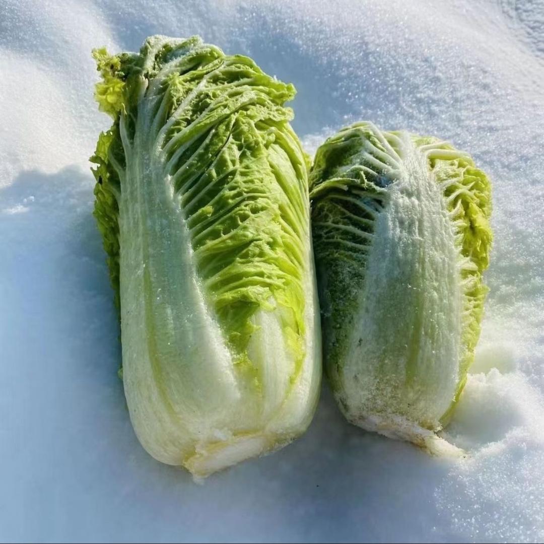 粮油米面小店🌾