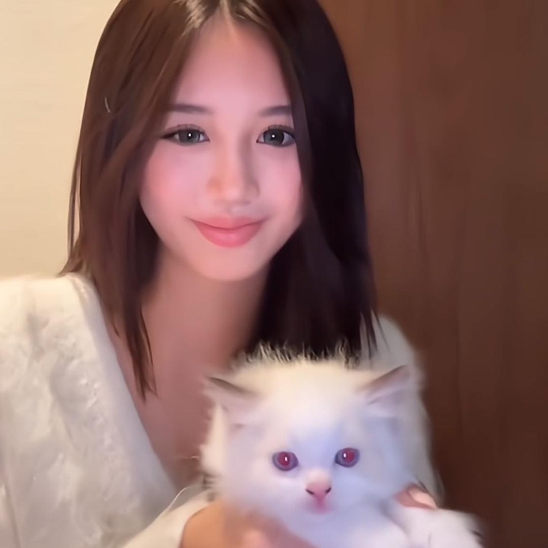 J2🐈