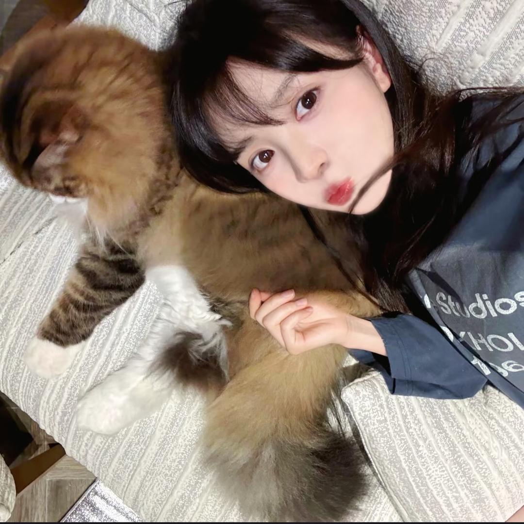 Hi