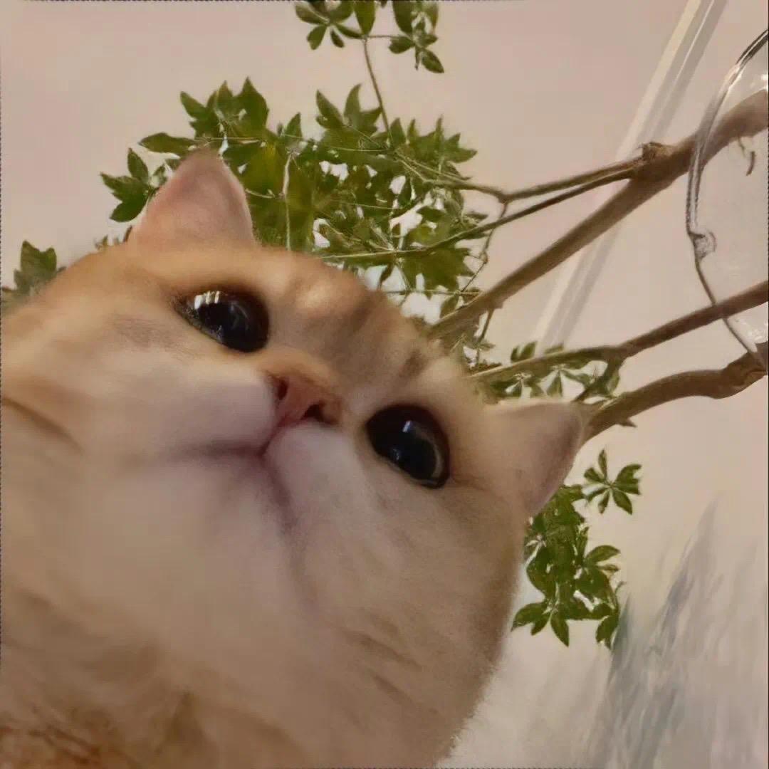 𝙈𝙤𝙤𝙣.💭