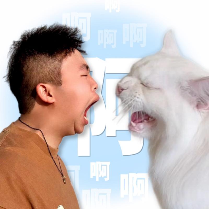 喵君是个大聪明