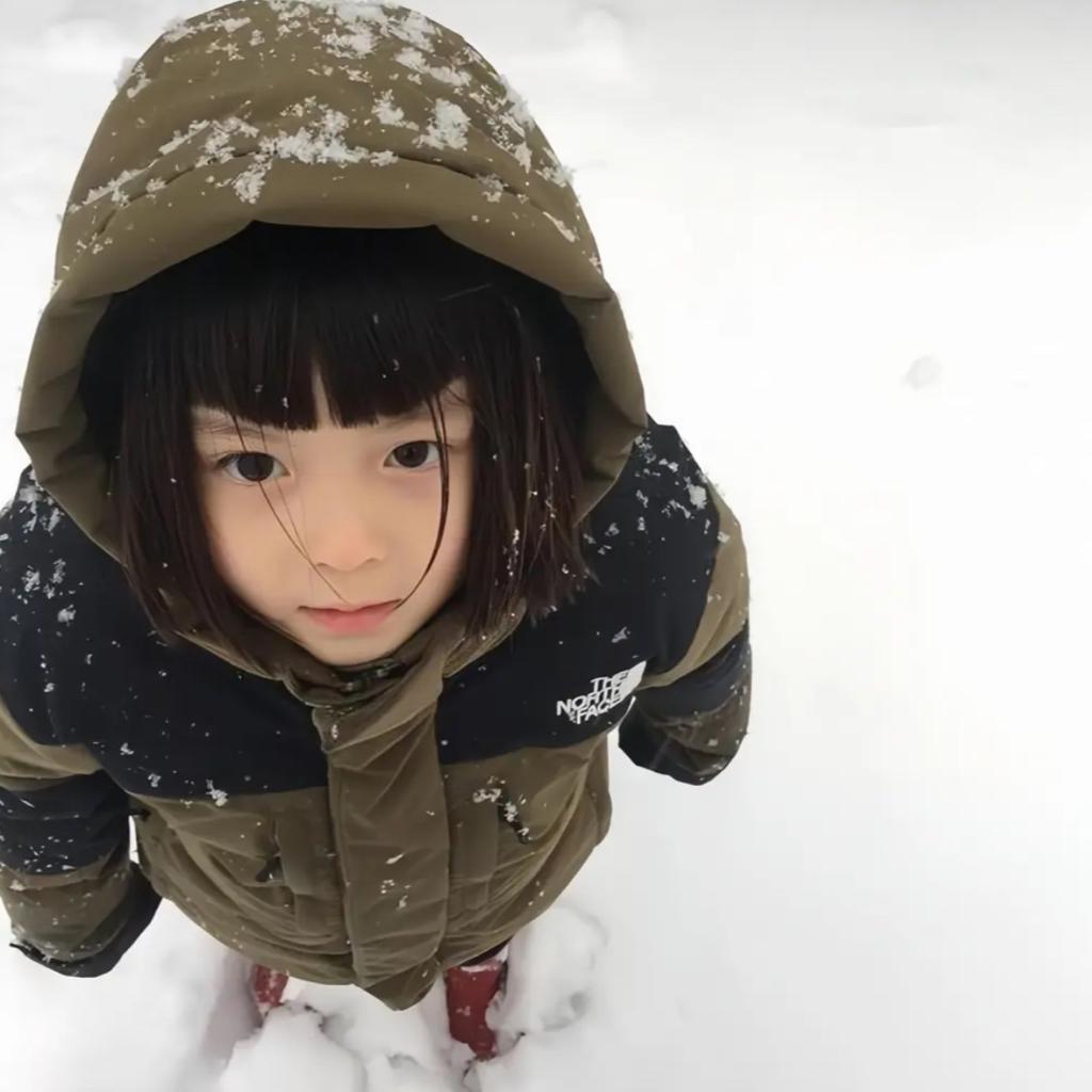 四月十一雪