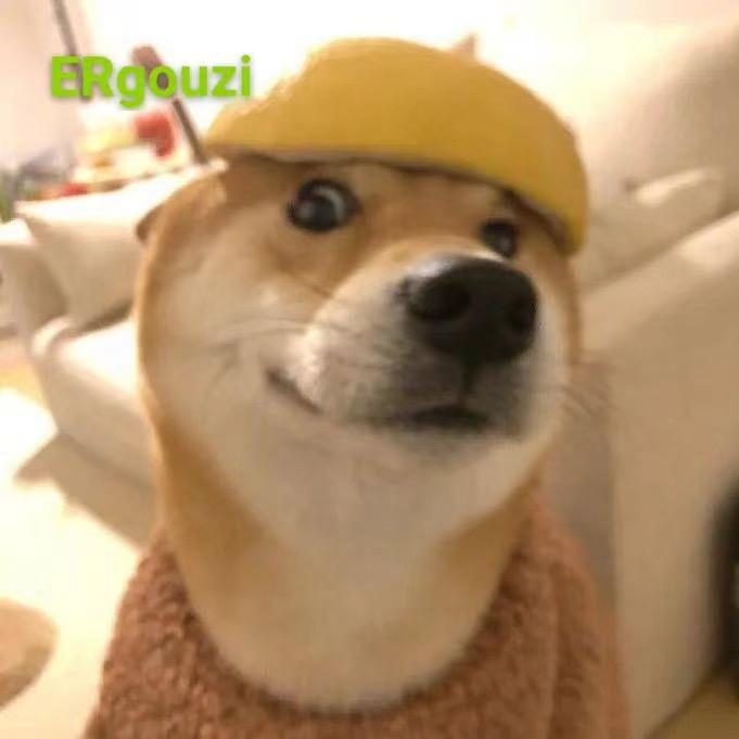 王者荣耀小玄