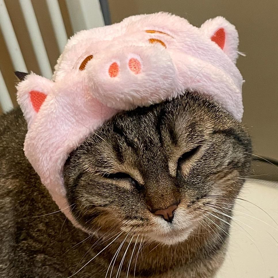呼噜呼噜莓