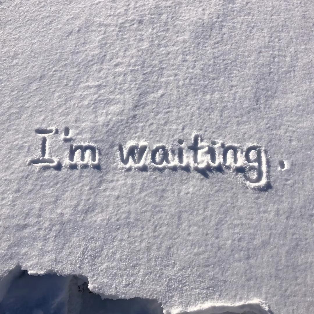 喜欢潜水不说话