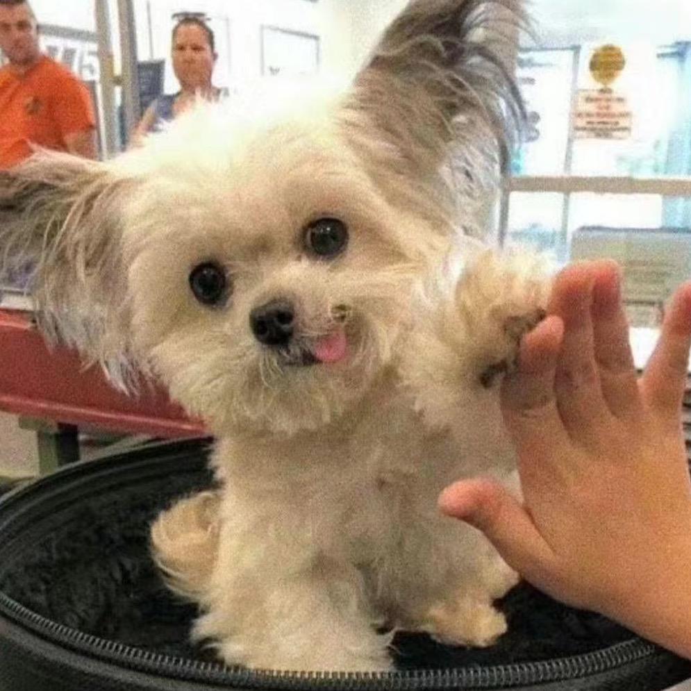 bernrdooo
