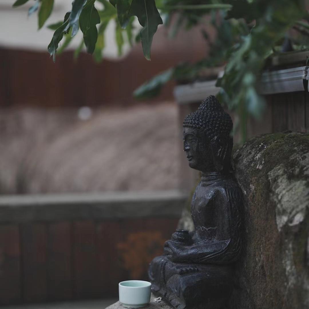 善宠苑