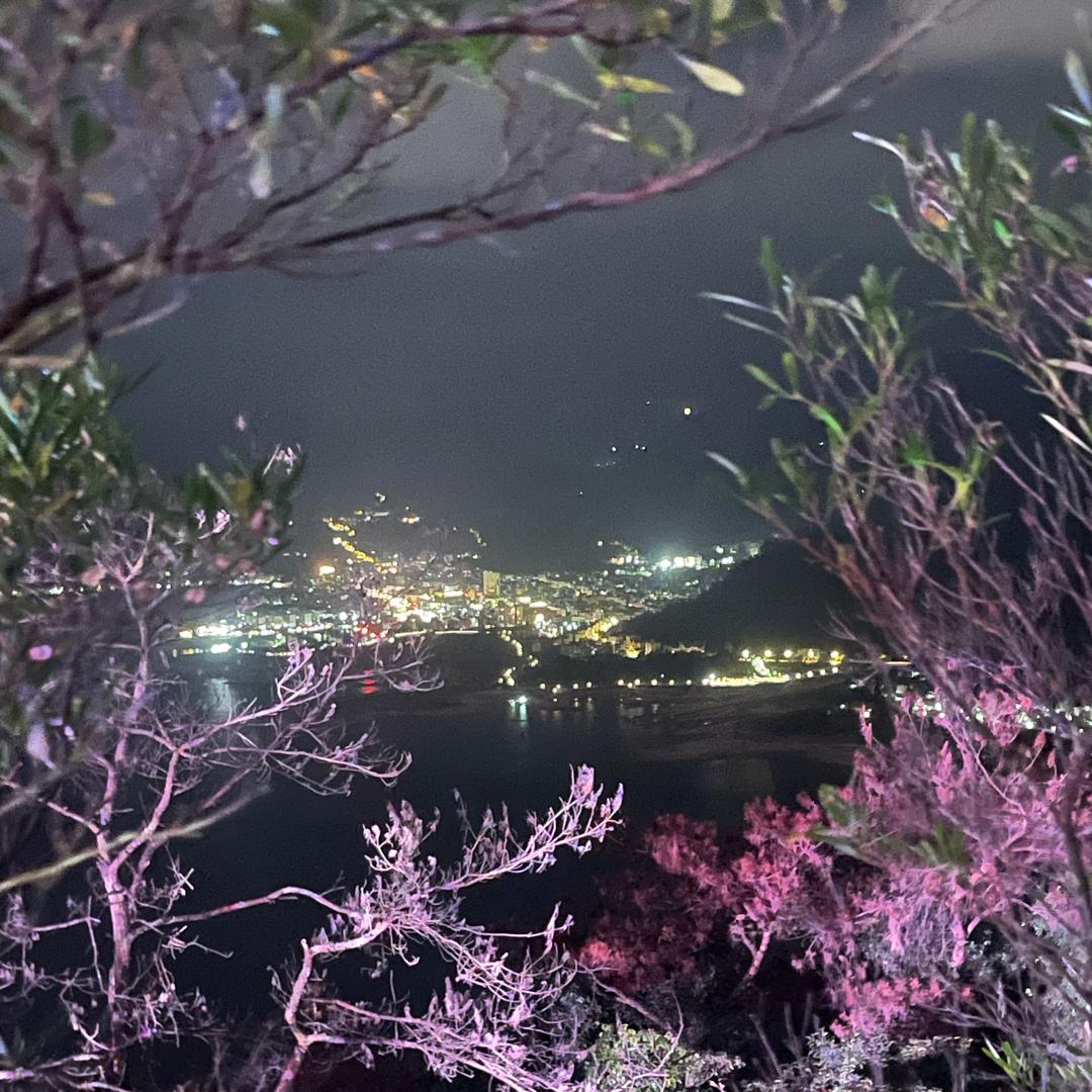 （意大利🇮🇹进口岩板)王长峰