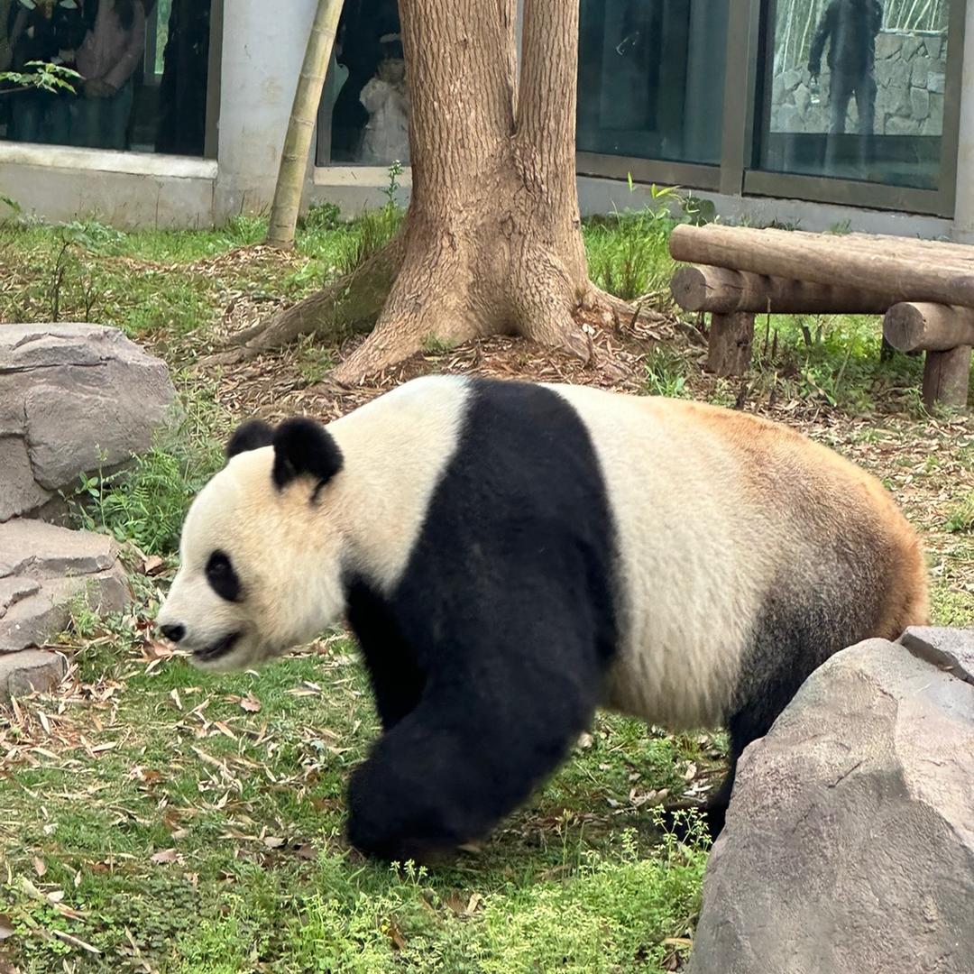 小芳最讨厌的老公
