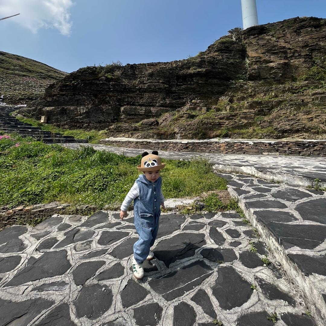 小张的晨晨沅齐