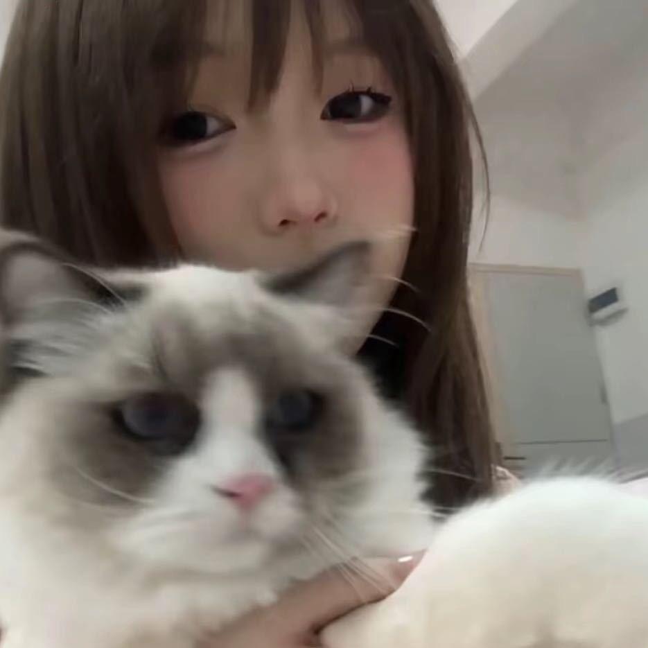 包子-