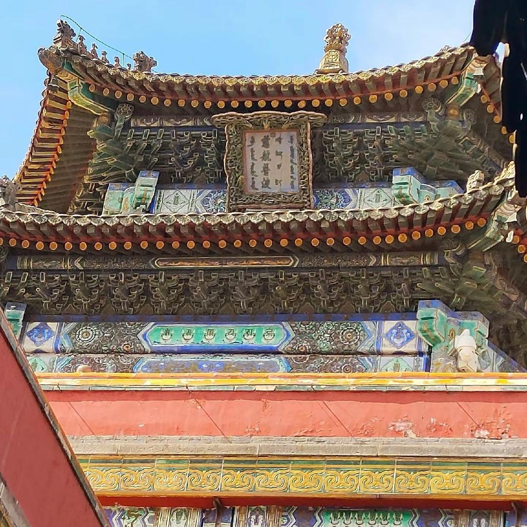 L.李奇奇