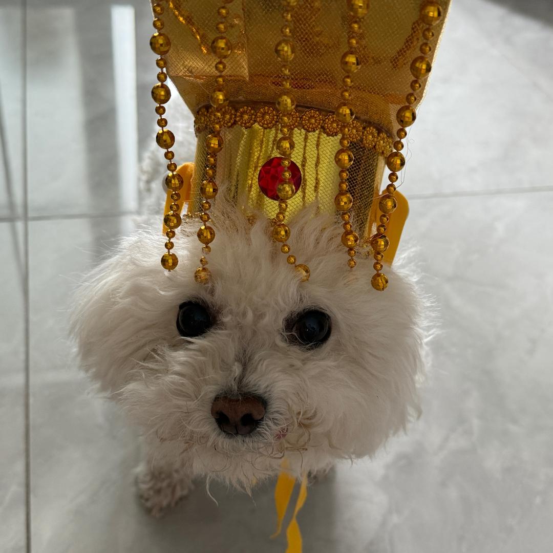 兔斯文啊U3U～