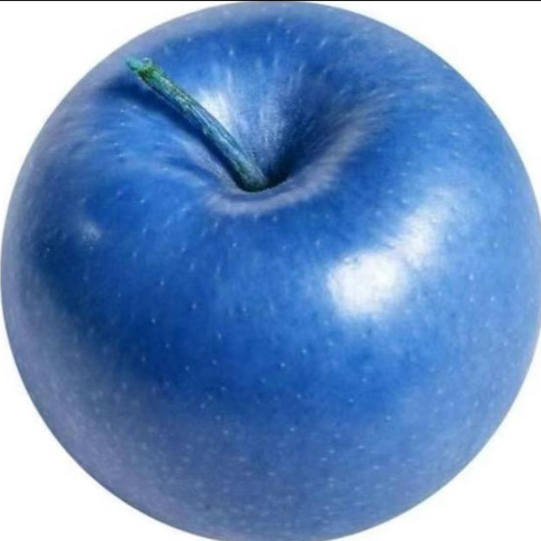 下一季