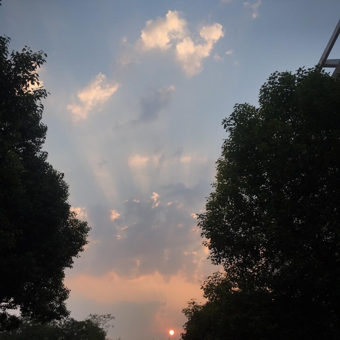 Bg.涂颜