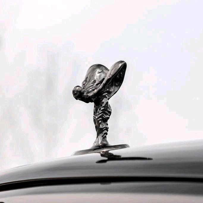 、钻石💎王顟鋈（工程总包）