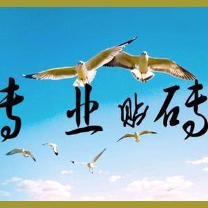 杨师傅铺贴团队
